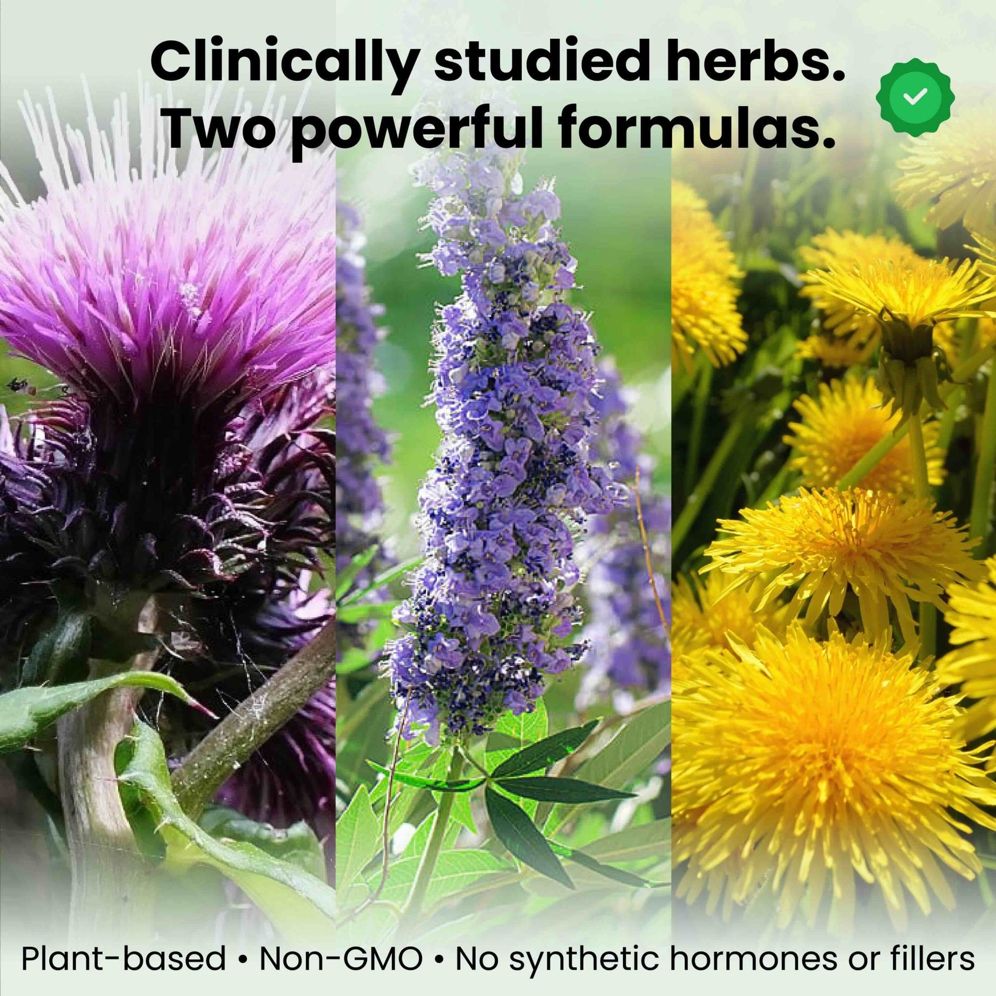 Fibroids Freedom For Her Bundle - Fibroids Freedom For Her